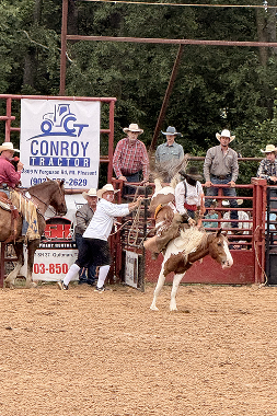 Experience Winnsboro